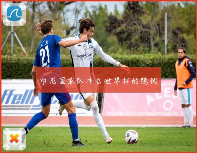 印尼国家队冲击世界杯的隐忧
