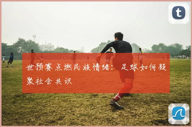 世预赛点燃民族情绪：足球如何凝聚社会共识