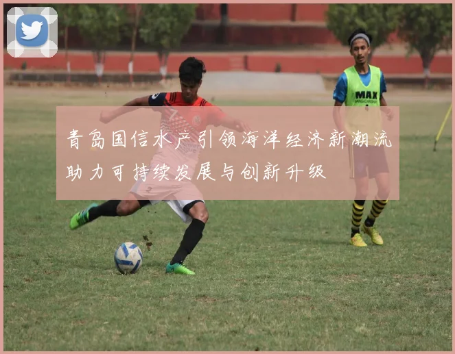 青岛国信水产引领海洋经济新潮流助力可持续发展与创新升级