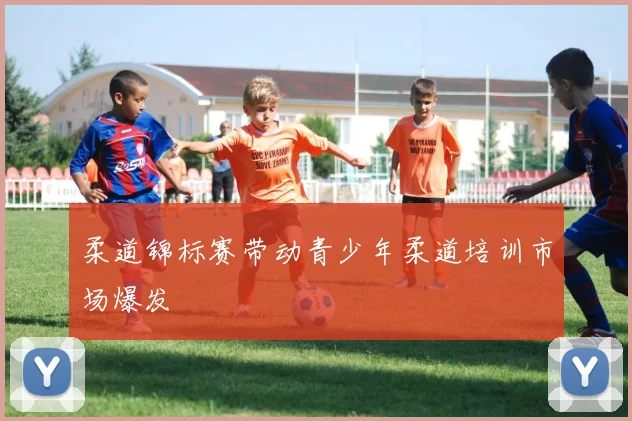柔道锦标赛带动青少年柔道培训市场爆发