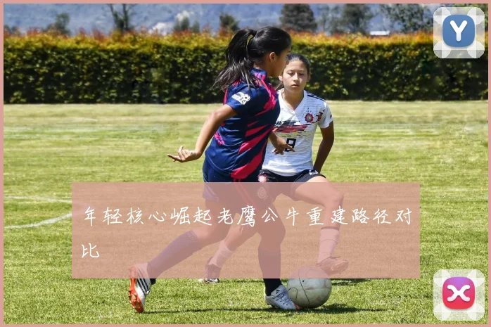 年轻核心崛起老鹰公牛重建路径对比